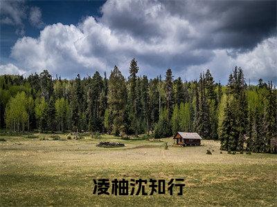 沈知行凌柚全文（凌柚沈知行）全文免费阅读无弹窗大结局_（沈知行凌柚全文）凌柚沈知行全文最新章节列表_笔趣阁（沈知行凌柚全文）
