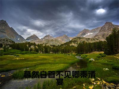 宁栀夏秦清宴（慕然白首不见卿秦清宴小说全文）在线阅读-宁栀夏秦清宴全文免费阅读无弹窗大结局