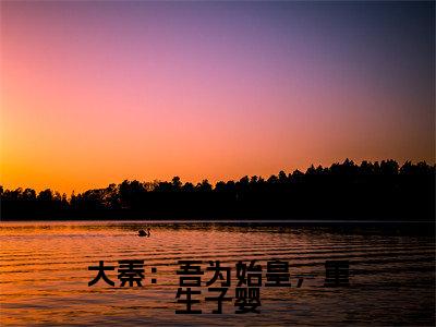 主角是子婴的小说叫什么名字大秦：吾为始皇，重生子婴-老书虫书荒推荐热点小说大秦：吾为始皇，重生子婴（子婴）