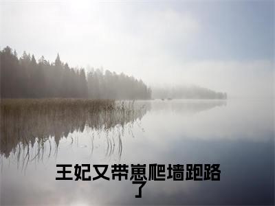 唐云瑾（王妃又带崽爬墙跑路了）全文免费阅读无弹窗_唐云瑾最新小说_笔趣阁（王妃又带崽爬墙跑路了唐云瑾）