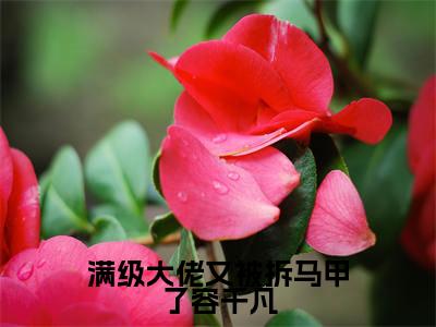 满级大佬又被拆马甲了容千凡小说（凌霆宵容千凡）全文免费阅读无弹窗大结局_ (凌霆宵容千凡免费阅读)最新章节列表_笔趣阁（凌霆宵容千凡）