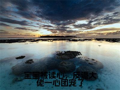 君宝宝(宝宝被读心，反派大佬一心团宠了全文免费阅读)_君宝宝小说最新章节免费阅读