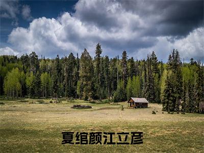 夏绾颜江立彦（江立彦夏绾颜）全文免费阅读无弹窗_夏绾颜江立彦小说免费阅读_笔趣阁