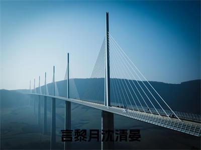 言黎月沈清晏（言黎月沈清晏）全文免费阅读最新章节_言黎月沈清晏大结局精彩阅读_笔趣阁（言黎月沈清晏）