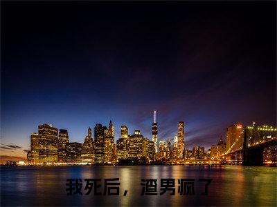 傅铭煜程西（我死后，渣男疯了）小说全文免费阅读-傅铭煜程西免费阅读完整版