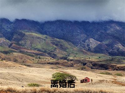离婚后，我被小鲜肉们围满了热推新书小说全文（ 周聿安林柠）全文免费阅读_离婚后，我被小鲜肉们围满了最新章节无弹窗阅读