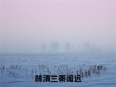 好书推荐小说林清兰秦闻远（秦闻远林清兰）-林清兰秦闻远全文免费阅读大结局