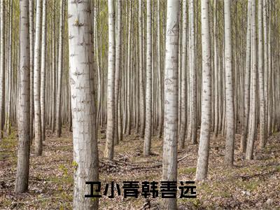 卫小青韩善远小说免费阅读（韩善远卫小青）全文免费阅读大结局-（卫小青韩善远小说免费阅读）好书推荐
