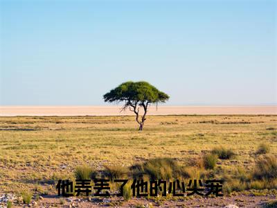他弄丢了他的心尖宠(孟星辰厉寒琛)小说精彩免费内容_他弄丢了他的心尖宠孟星辰厉寒琛最新章节全文阅读（孟星辰厉寒琛）