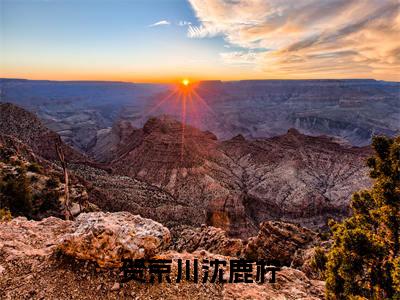 贺京川沈鹿柠（贺京川沈鹿柠）全文免费阅读无弹窗大结局_贺京川沈鹿柠免费最新章节列表_笔趣阁（贺京川沈鹿柠）