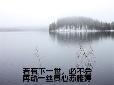 若有下一世，必不会再动一丝真心苏雅婷小说（苏雅婷秦圣轩全文完整版免费阅读）_若有下一世，必不会再动一丝真心苏雅婷小说免费最新章节列表_笔趣阁