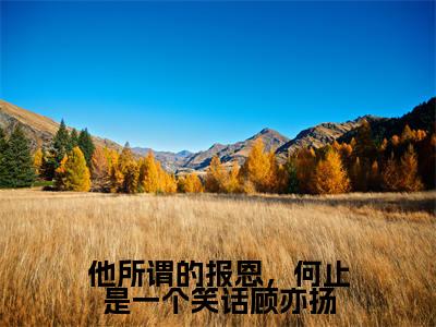 他所谓的报恩，何止是一个笑话顾亦扬（顾亦扬温念芜）2023最火小说全文-（顾亦扬温念芜）他所谓的报恩，何止是一个笑话顾亦扬小说完整版免费阅读