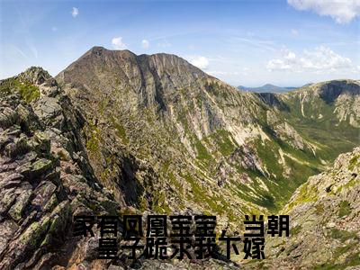 家有凤凰宝宝，当朝皇子跪求我下嫁（战北辰玉青璃）全文免费阅读无弹窗大结局_战北辰玉青璃免费阅读最新章节列表_笔趣阁