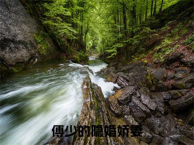 傅少的隐婚娇妻(温时简傅克韫)全文免费阅读无弹窗大结局_(温时简傅克韫小说全文免费阅读)傅少的隐婚娇妻小说全文无弹窗最新章节列表_笔趣阁（温时简傅克韫）