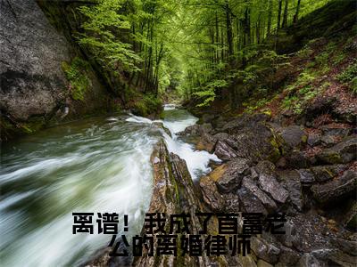 离谱！我成了首富老公的离婚律师（司烨陆辛夷）多人推荐阅读-精选小说（司烨陆辛夷）完整版免费阅读