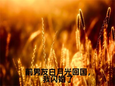小说沈南乔谢司屿全文免费阅读无弹窗大结局-前男友白月光回国，我闪婚了沈南乔谢司屿免费阅读大结局
