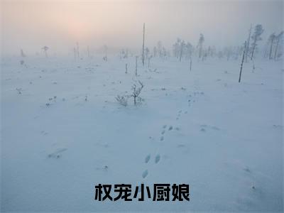 权宠小厨娘（姜皎）全文小说-权宠小厨娘小说最新章节免费阅读