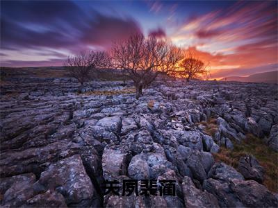 关夙裴蔺(关夙裴蔺)小说全文免费阅读无弹窗大结局_关夙裴蔺最新章节列表