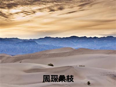 桑枝周琛小说全文免费阅读-周琛桑枝在线阅读的小说完整版