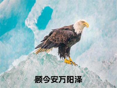 顾今安万阳泽小说全文免费阅读(万阳泽顾今安)全文免费阅读无弹窗大结局_ 顾今安万阳泽最新章节列表_笔趣阁（万阳泽顾今安小说）
