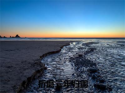  司徒鸢裴寂（折磨三年归国，丞相哭红眼）全文免费阅读无弹窗大结局_（折磨三年归国，丞相哭红眼无弹窗）_笔趣阁