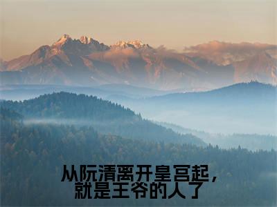 从阮清离开皇宫起，就是王爷的人了（谢熠储阮清小说全文）在线阅读无弹窗大结局-从阮清离开皇宫起，就是王爷的人了全文无删减版阅读