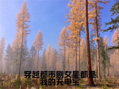 穿越都市剧女星都是我的充电宝热门榜单小说 黎阳完本小说无弹窗免费阅读
