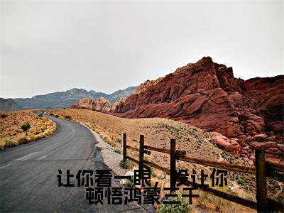 让你看一眼，没让你顿悟鸿蒙三千（林羽）全文免费阅读无弹窗大结局_让你看一眼，没让你顿悟鸿蒙三千小说全文免费阅读最新章节列表（林羽）