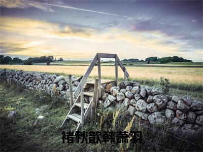 褚秋歆韩萧羽（韩萧羽褚秋歆）全文免费阅读无弹窗大结局_（韩萧羽褚秋歆）章节列表_笔趣阁