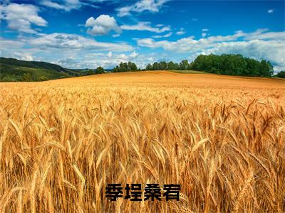 季埕桑宥（季埕桑宥）精彩小说-小说季埕桑宥全文无删减版免费阅读