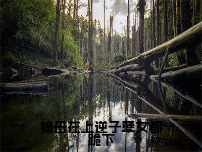 嫡母在上逆子孽女都跪下小说全文免费阅读（云初）全文免费阅读无弹窗大结局_(云初)嫡母在上逆子孽女都跪下小说免费阅读无弹窗最新章节列表_笔趣阁（云初）