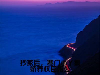 小说（抄家后，寒门小丫鬟娇养权臣相公）在线赏析_陆云铮柳巧儿txt小说在线阅读笔趣阁