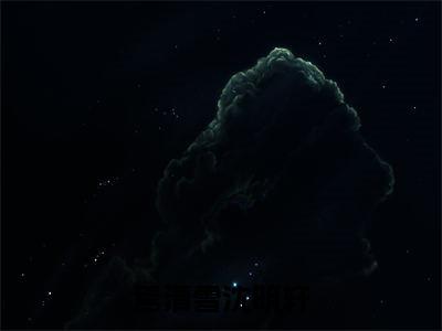 焉清雪沈明轩全文免费阅读_（焉清雪沈明轩免费阅读无弹窗）焉清雪沈明轩最新章节列表笔趣阁