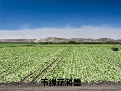 韦缘芷蒋墨全网热搜（韦缘芷蒋墨）是什么小说,韦缘芷蒋墨免费阅读无弹窗