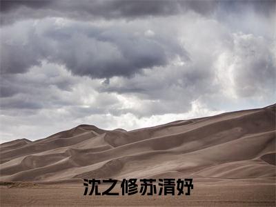 沈之修苏清妤小说（沈之修苏清妤）全文免费阅读无弹窗大结局_沈之修苏清妤小说最新章节列表_笔趣阁