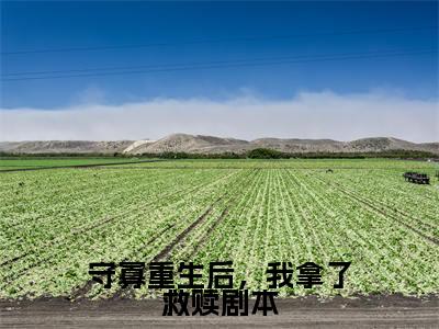 守寡重生后，我拿了救赎剧本全文免费阅读（桑梨靳煜言）全文免费阅读无弹窗大结局_(桑梨靳煜言)守寡重生后，我拿了救赎剧本免费阅读无弹窗最新章节列表_笔趣阁（桑梨靳煜言）