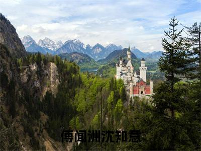 沈知意傅闻洲小说傅闻洲沈知意完整版阅读 傅闻洲沈知意全文在线赏析