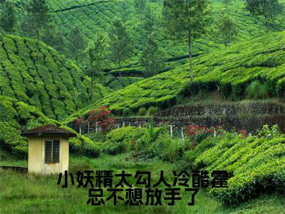 小妖精太勾人冷酷霍总不想放手了小说（霍砚岑桑）热推新书_小妖精太勾人冷酷霍总不想放手了最新章节在线阅读_笔趣阁