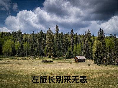 苏月瑶左淮之免费左旅长别来无恙读无弹窗最新章节列表_笔趣阁（苏月瑶左淮之）