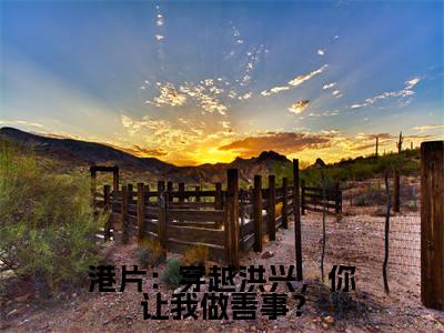 港片：穿越洪兴，你让我做善事？（沈栋）全文小说-沈栋小说最新章节免费阅读