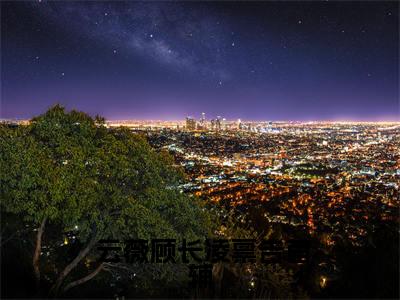 主角是 云薇顾长凌的小说叫什么名字 禀告首辅，夫人她又去给你物色美女了小说免费阅读