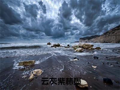 四方合城小说最新章节在线阅读_四方合城在线阅读
