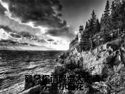 鹤闻殊温皎（鹤总你清醒点太太真不是小白花）在哪免费看-小说（鹤总你清醒点太太真不是小白花）全文完整版免费阅读鹤闻殊温皎