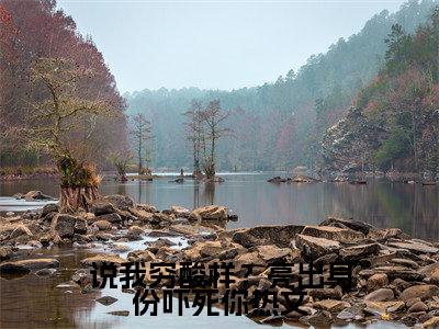  林寻苏清诗全文免费阅读大结局-说我穷酸样？亮出身份吓死你结局免费阅读