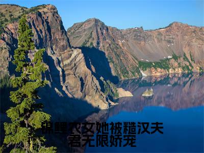 高赞小说锦鲤农女她被糙汉夫君无限娇宠（苏柳叶）完结阅读_苏柳叶锦鲤农女她被糙汉夫君无限娇宠免费看全文