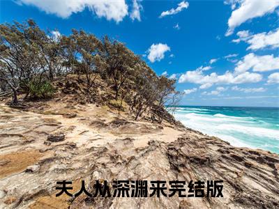 夫人从深渊来（ 傅珞寒简茵熹小说）小说全文免费阅读_夫人从深渊来 傅珞寒简茵熹小说下载_最新章节列表笔趣阁（夫人从深渊来）
