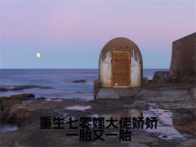 重生七零嫁大佬娇娇一胎又一胎（许宁言顾致远 ）全文免费阅读_重生七零嫁大佬娇娇一胎又一胎言诺诺,井傅宸 小说最新章节列表笔趣阁