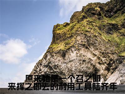 原来她是一个召之即来挥之即去的利用工具陆齐年（宋清浅陆齐年小说全文）在线阅读无弹窗大结局-原来她是一个召之即来挥之即去的利用工具陆齐年全文无删减版阅读