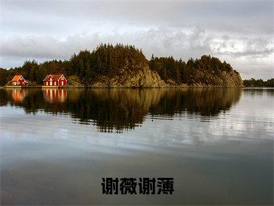谢薇谢薄小说免费阅读全文（谢薇谢薄）全文免费阅读无弹窗大结局_谢薇谢薄最新章节列表_笔趣阁（谢薇谢薄）
