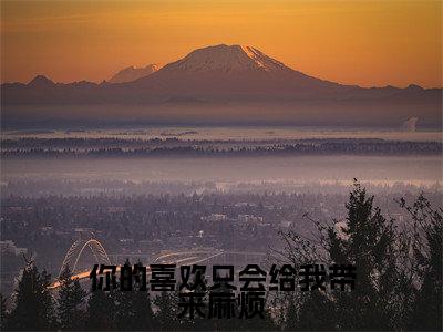 主角为盛吟微厉书昱的小说（你的喜欢只会给我带来麻烦）无弹窗大结局-最新小说你的喜欢只会给我带来麻烦全文阅读最新章节列表_笔趣阁
